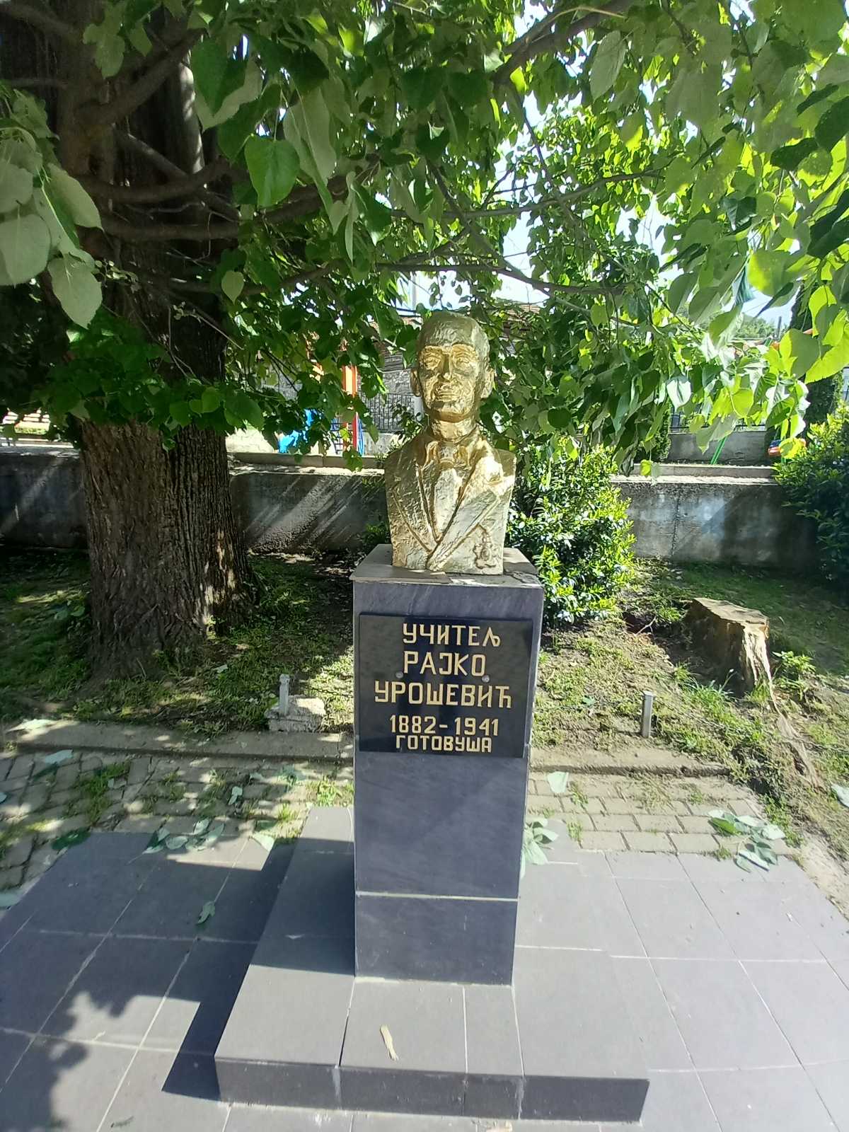 114455666